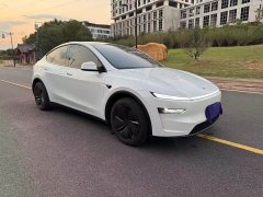 Tesla Model Y Rear-Wheel Drive - ფოტო 3