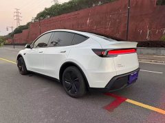 Tesla Model Y Rear-Wheel Drive - ფოტო 4