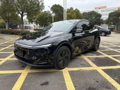 Tesla Model Y Rear-Wheel Drive - ფოტო 2