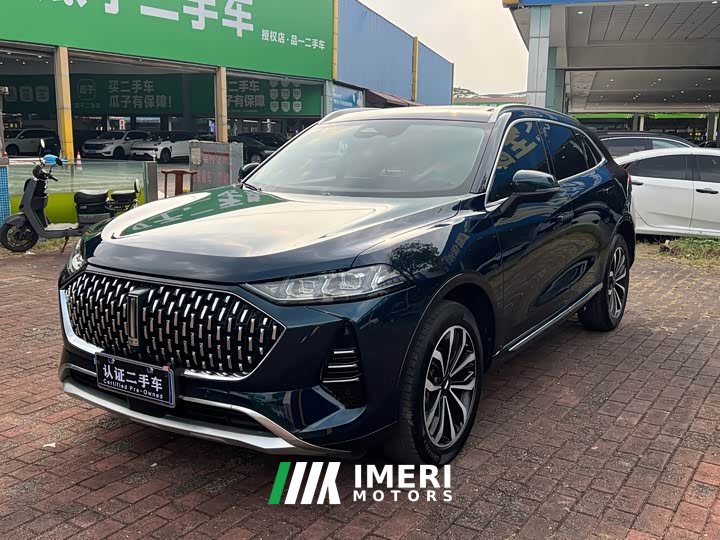 Great Wall Wei Brand Mocha 2021 2.0T Two-Wheel Drive Rich Edition - ავტომობილი ჩინეთიდან