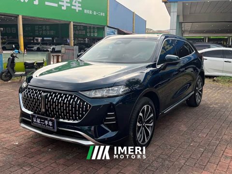 2022 Great Wall Wei Brand Mocha 2021 2.0T Two-Wheel Drive Rich Edition - ავტომობილი ჩინეთიდან