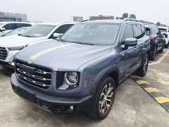 Great Wall Big Dog 1.5T DCT FWD Malinois Edition - ფოტო 1