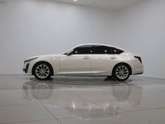 Cadillac CT5 28T Luxury (Standard Edition) - ფოტო 8