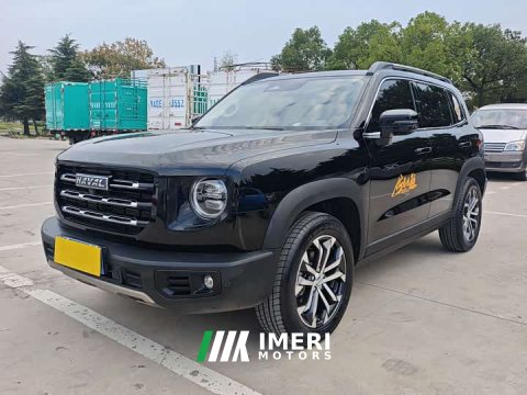2023 Great Wall Dachshund 2022 1.5T DCT Two-Wheel Drive Border Collie Edition - ავტომობილი ჩინეთიდან