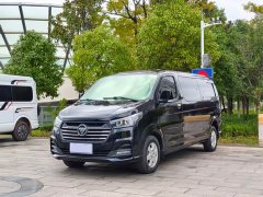 Scenery G5 2.0T Edition7/94F20TC3 - фото 1
