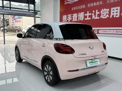 Wuling Binguo 2023 333km Joy Edition - ფოტო 14