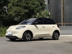 Wuling Binguo 2023 333km Joy Edition - ფოტო 1