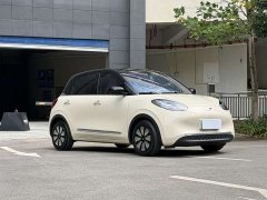 Wuling Binguo 2023 333km Joy Edition - ფოტო 2