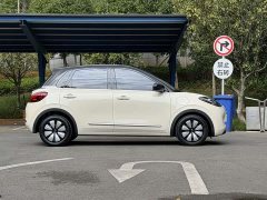 Wuling Binguo 2023 333km Joy Edition - ფოტო 8