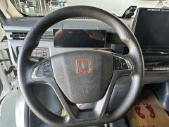 Remote Star Enjoy Farizon SuperVan V Star Joy V6F Gold Emblem 10th Anniversary Flagship Edition Xuanwu 41.055kWh - ფოტო 11