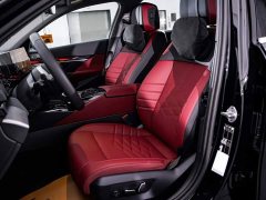 BMW 5 Series Facelift 530Li Premier M Sport Package - ფოტო 18