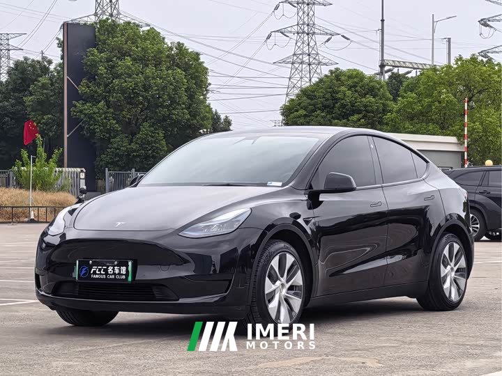 Tesla Model Y Rear-Wheel Drive
