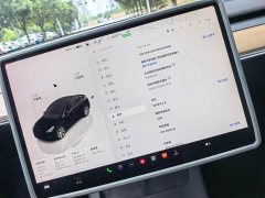 Tesla Model Y Rear-Wheel Drive - ფოტო 10