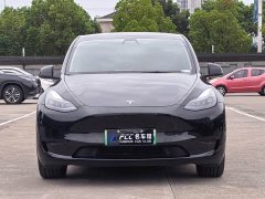 Tesla Model Y Rear-Wheel Drive - ფოტო 2