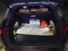 BYD Song L DM-i 112km Transcendence - ფოტო 15