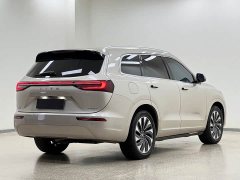 AITO Wenjie M7 1.5T RWD Comfort Edition - ფოტო 6