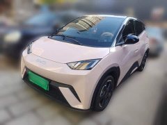 BYD Seagull Glory Edition 305km Freedom Version - ფოტო 1