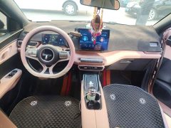 BYD Seagull Glory Edition 305km Freedom Version - ფოტო 10