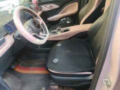 BYD Seagull Glory Edition 305km Freedom Version - ფოტო 16