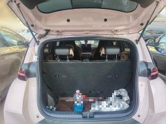 BYD Seagull Glory Edition 305km Freedom Version - ფოტო 20