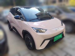 BYD Seagull Glory Edition 305km Freedom Version - ფოტო 3