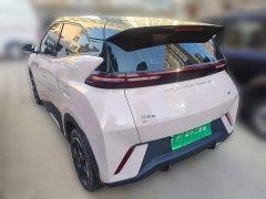 BYD Seagull Glory Edition 305km Freedom Version - ფოტო 4