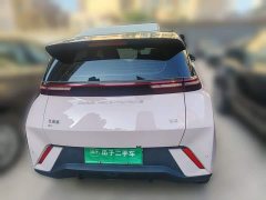 BYD Seagull Glory Edition 305km Freedom Version - ფოტო 5