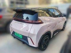 BYD Seagull Glory Edition 305km Freedom Version - ფოტო 6