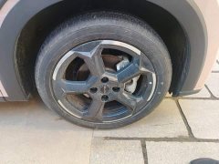 BYD Seagull Glory Edition 305km Freedom Version - ფოტო 8