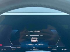 BMW iX1 xDrive30L M Sport Package - ფოტო 8
