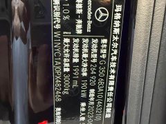 Mercedes-Benz G-Class G 350 - ფოტო 14