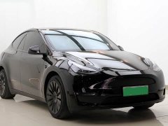 Tesla Model Y Standard Range RWD - ფოტო 3