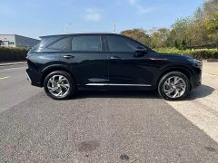 FAW Red Flag HS3 PHEV 117km Dynamic Edition - ფოტო 4