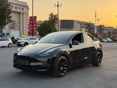 Tesla Model Y Long Range All-Wheel Drive - ფოტო 1