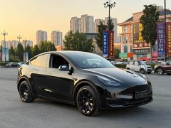 Tesla Model Y Long Range All-Wheel Drive - ფოტო 2