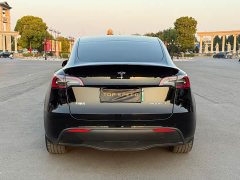 Tesla Model Y Long Range All-Wheel Drive - ფოტო 7
