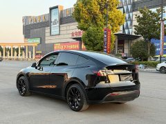 Tesla Model Y Long Range All-Wheel Drive - ფოტო 9