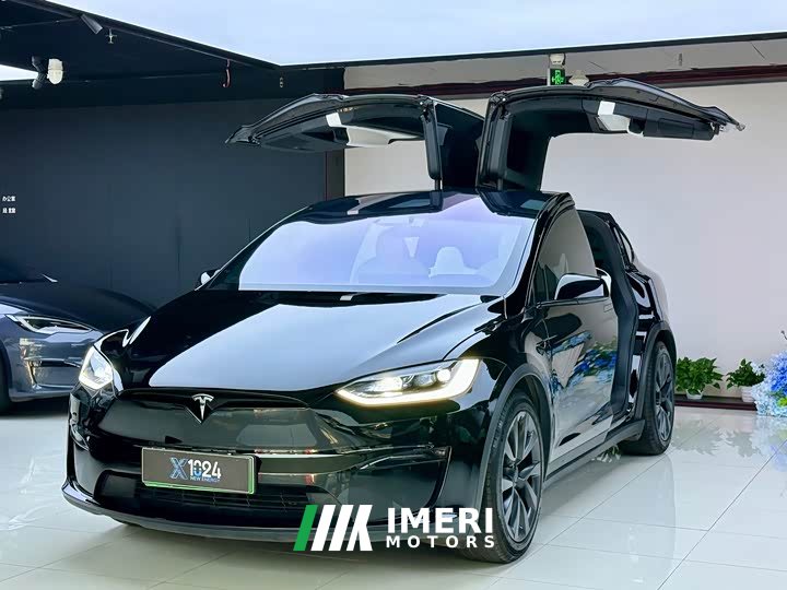 Tesla Model X 2023 Dual Motor All-Wheel Drive - ავტომობილი ჩინეთიდან