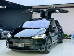 Tesla Model X 2023 Dual Motor All-Wheel Drive - ფოტო 1