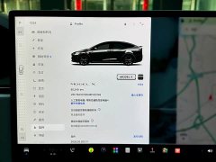 Tesla Model X 2023 Dual Motor All-Wheel Drive - ფოტო 17