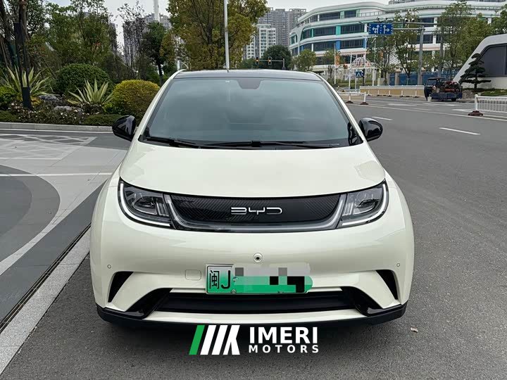 BYD Dolphin 420km Fashion Edition - ავტომობილი ჩინეთიდან