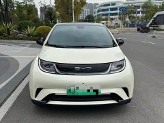 BYD Dolphin 420km Fashion Edition - ფოტო 1