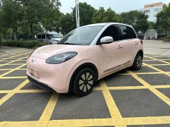 Wuling Binguo 333km Joy Edition - ფოტო 1