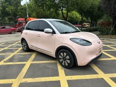 Wuling Binguo 333km Joy Edition - ფოტო 3