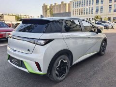 BYD Dolphin 405km Fashion Edition - ფოტო 9