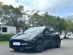 Tesla Model Y Rear-Wheel Drive - ფოტო 1