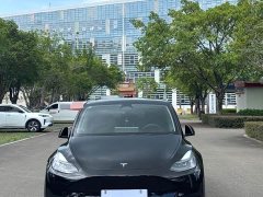 Tesla Model Y Rear-Wheel Drive - ფოტო 2