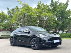 Tesla Model Y Rear-Wheel Drive - ფოტო 3