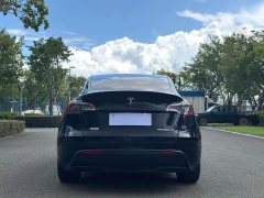 Tesla Model Y Rear-Wheel Drive - ფოტო 7