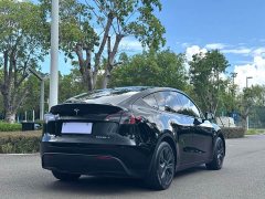 Tesla Model Y Rear-Wheel Drive - ფოტო 8